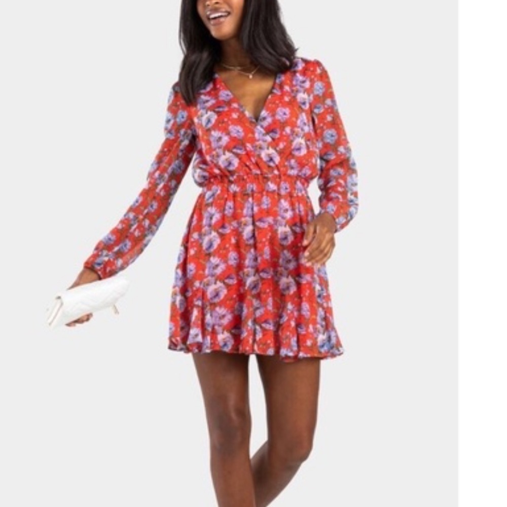 mi ami Francesca’s Holly Floral Godet Dress Size M